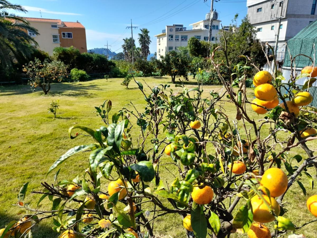 Haeansung Pension Seogwipo Exteriör bild