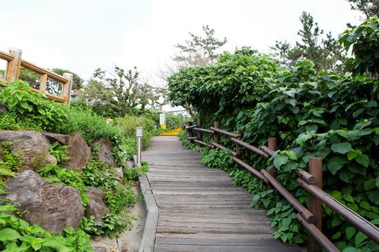 Haeansung Pension Seogwipo Exteriör bild